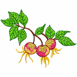 Cherry Embroidery Design 9 Cherry Embroidery Design 9